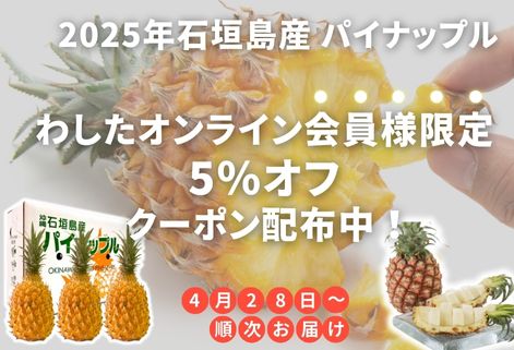 2025パインクーポン